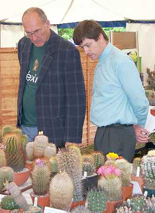 Show judging