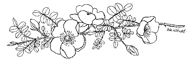 Flower logo