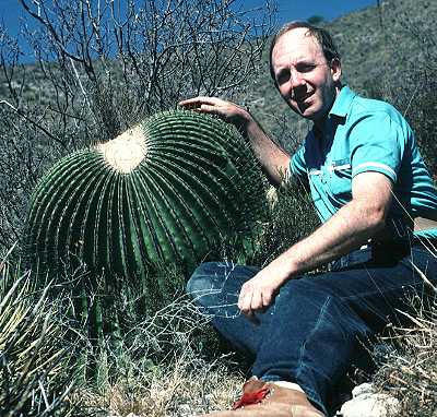 Echinocactus platyacanthus